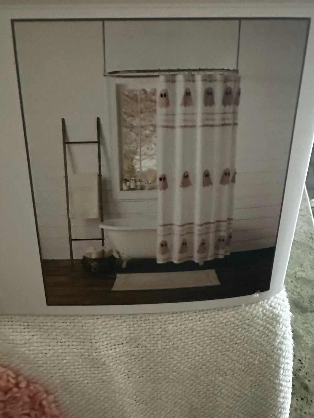 Rachel Ashwell Pink Ghost Shower Curtain